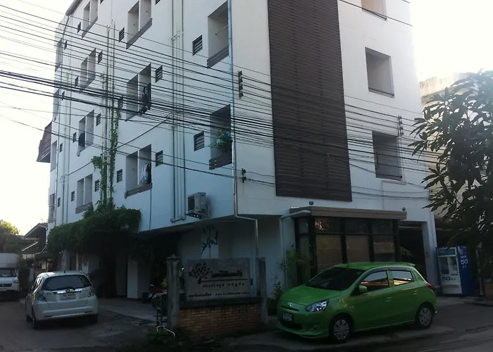 Chiangmai Tree Hostel เชียงใหม่