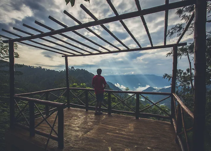 After The Rains - Rainforest Lodge, Wayanad Meppadi