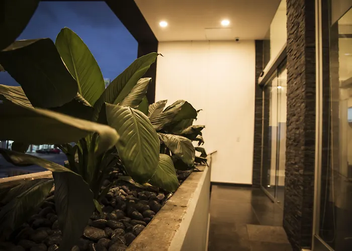 Lithio Hotel Veracruz