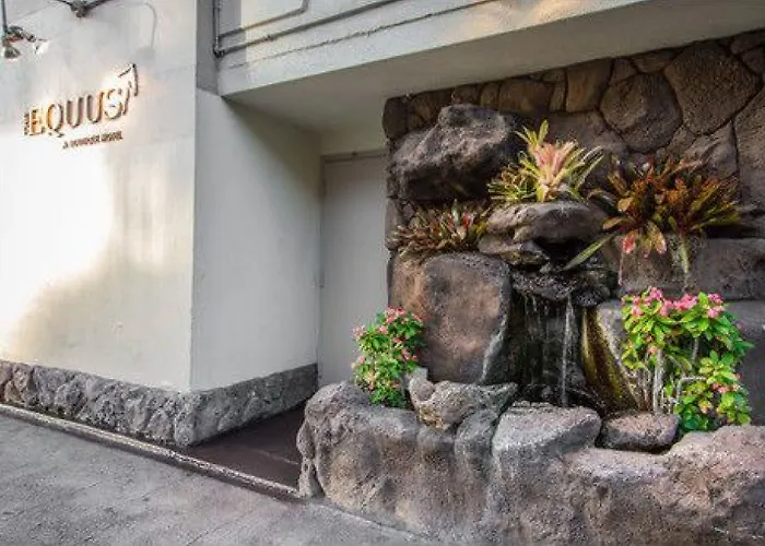 The Equus Hotel Honolulu