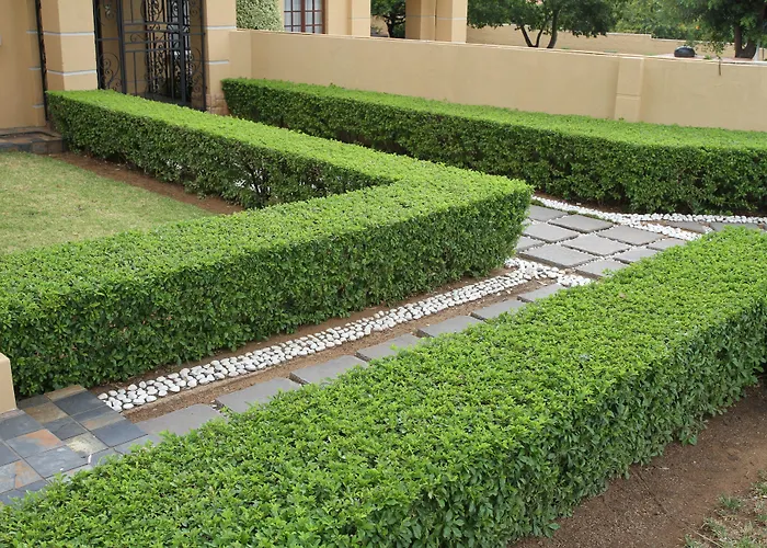 La Villa Rosa Midrand