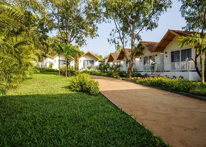 White Wood Resort By Stone Wood Hotels Morjim
