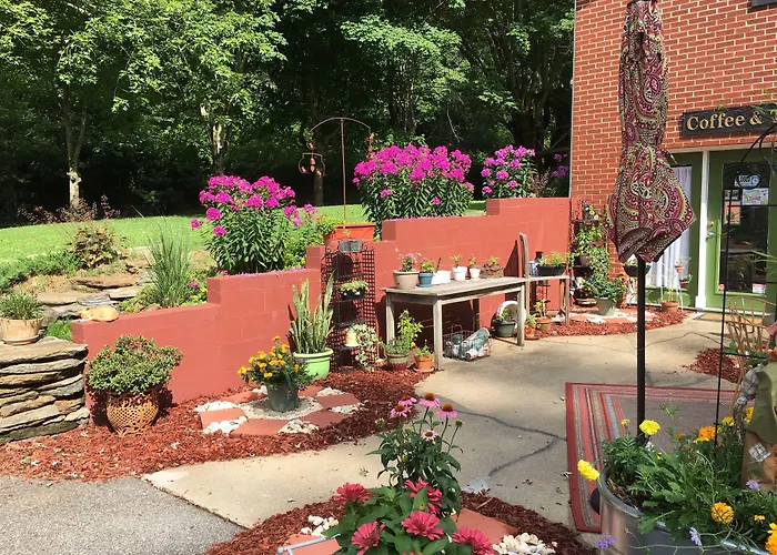 The Ashe Farm Bed & Breakfast Marshall