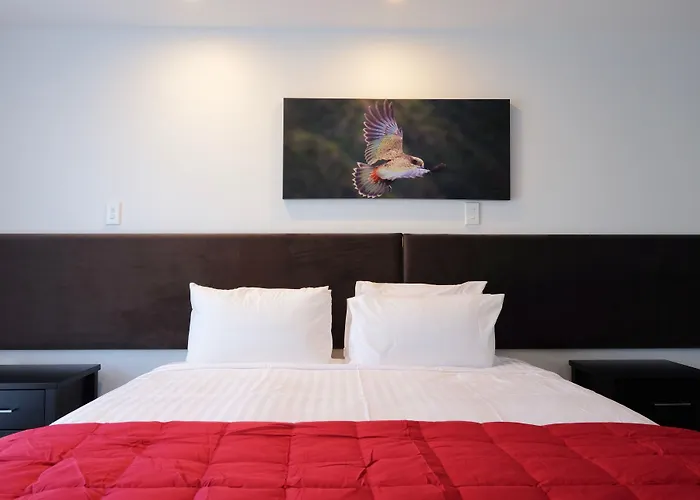 Stopforths Motel Hokitika