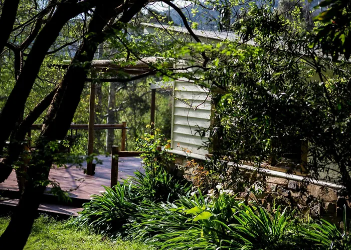 Buttercup Hill Bed & Breakfast Warburton