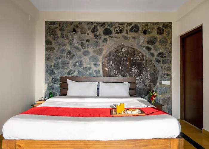 Lazy Hills Kotagiri Bed & Breakfast