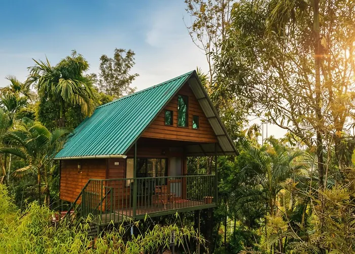 Kedara Resort Wayanad Pet Friendly With Pool Sultan Bathery