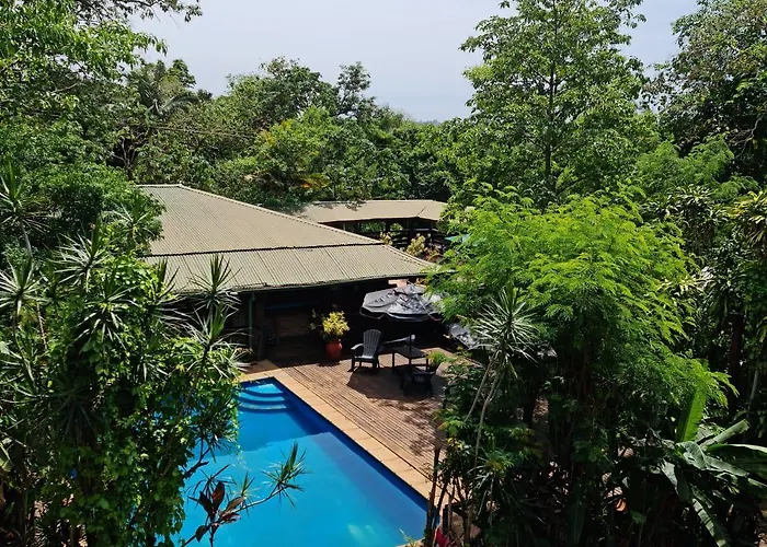 Los Troncos Jasy Puerto Iguazú