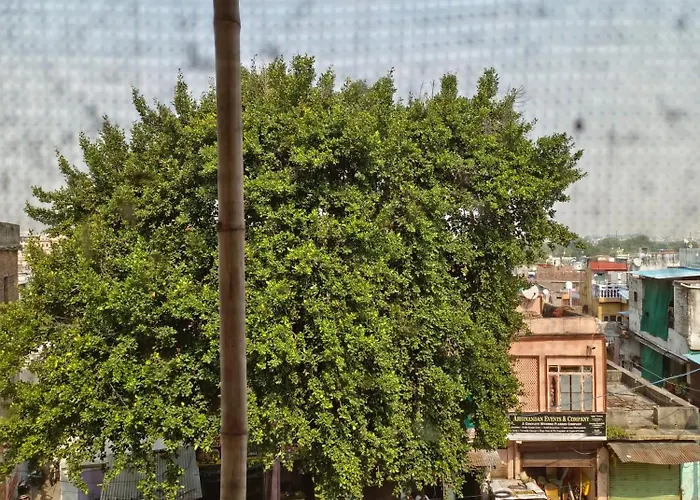 Kanchan Hotel Kota 