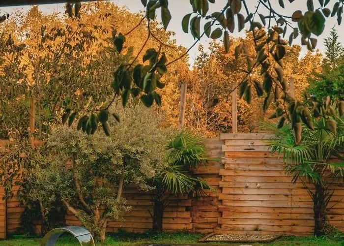 Rast Sapanca Bungalov Sakarya 