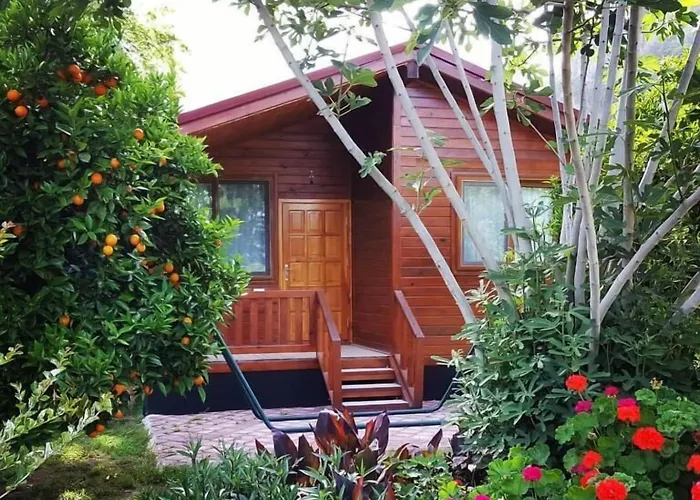 Asya Bungalow Çıralı