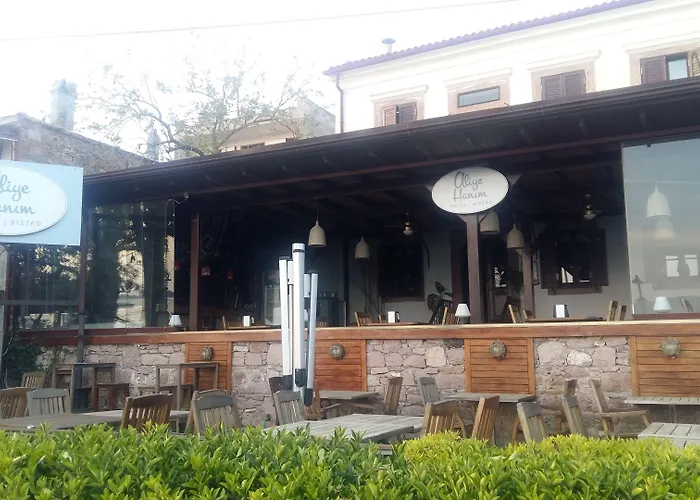 Aliye Hanim Ayvalı
