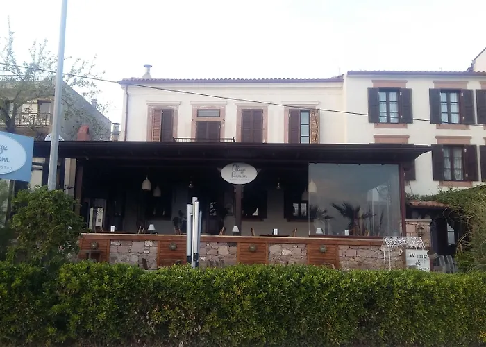 Aliye Hanim Ayvalı