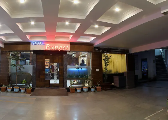Hotel Puneet International Raipur 