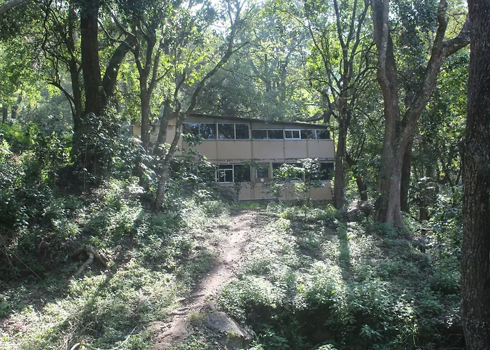 Secret Valley Jungle Resort Ooty