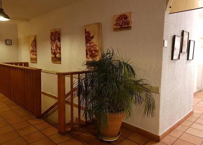 Hotel&Restaurant le Saint Jean Cargèse