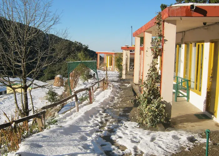 Janardan Resort Pangot - Nainital
