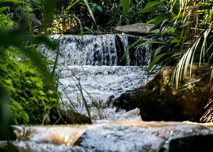 Africa'S Eden Guesthouse Pietermaritzburg