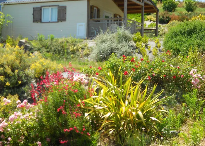 Insolites Du Camping De Trezulien Douarnenez
