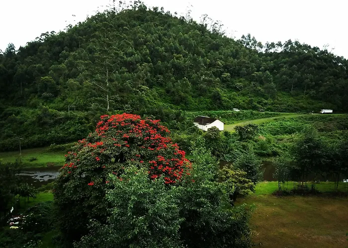 Archana Residency Munnar