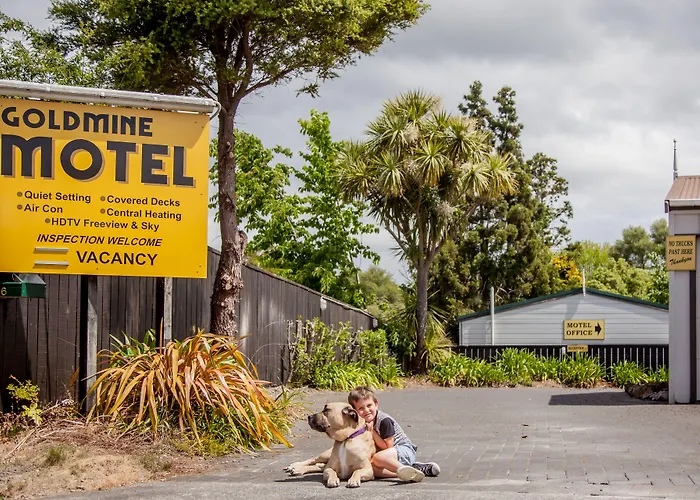 Goldmine Motel Waihi