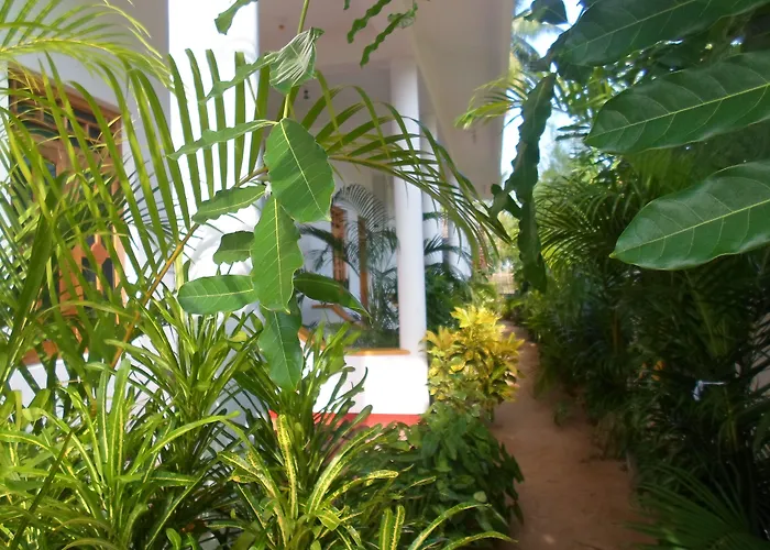 Surf & Sand Hotel Arugambay Arugam Bay