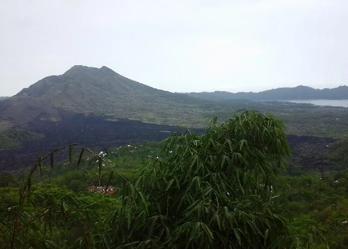 The Cave Hotel Kintamani 