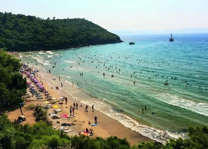 Misa Pension Apart Güzelçamlı