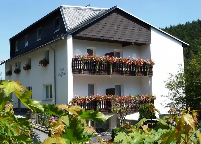 Pension Haus Waldfrieden Willingen 