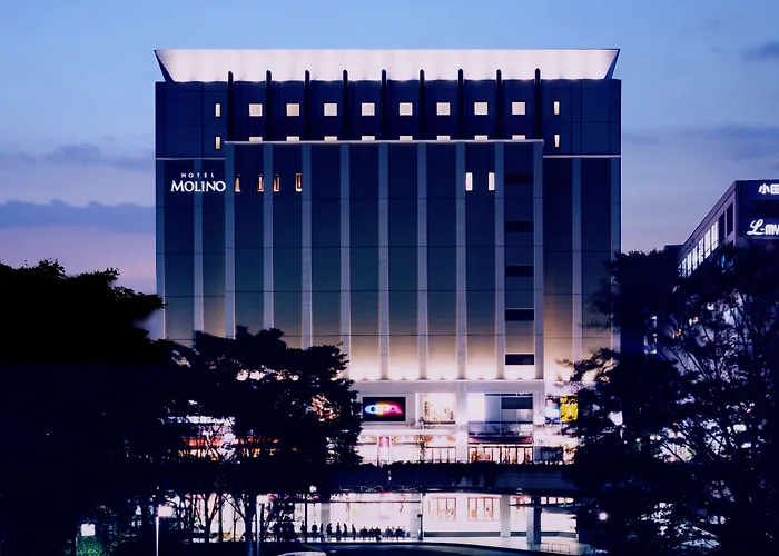 Hotel Molino Shin Yuri Kawasaki 