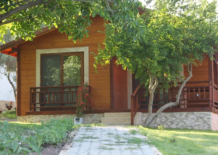 Villa Bilge Çıralı