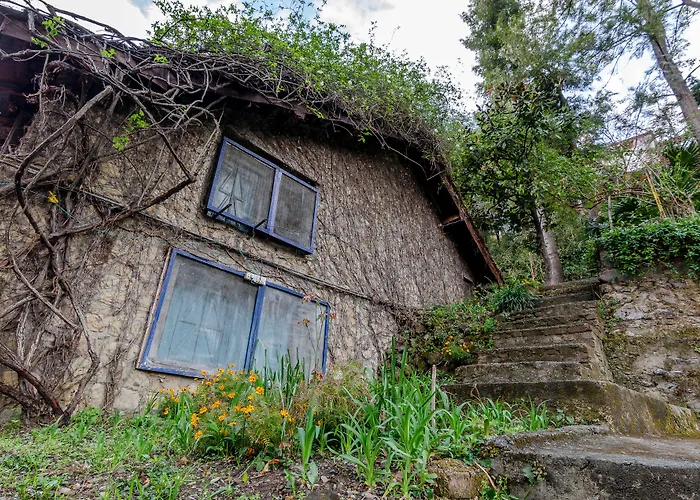 Rosastays Jeolikote Bara Bungalow Nainital