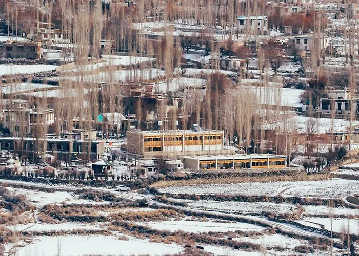 Ladakh Sarai Resort Leh