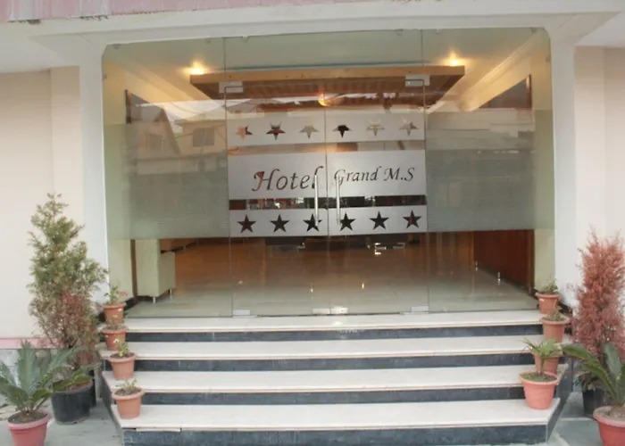 Grand Ms Hotel Srinagar 