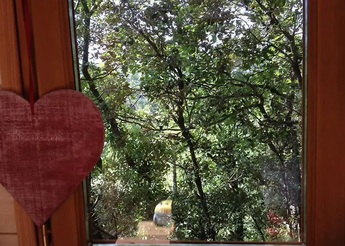 La cabane des amoureux Barjols