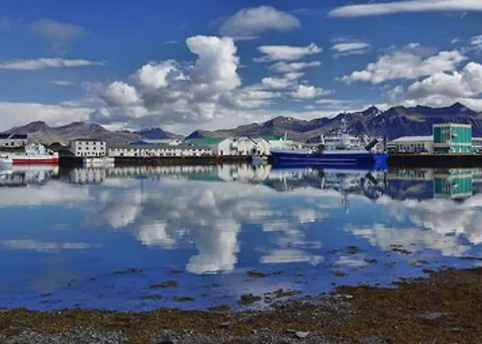 Apotek Guesthouse Höfn