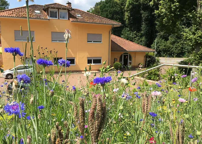Hostellerie Bacher Neunkirchen 