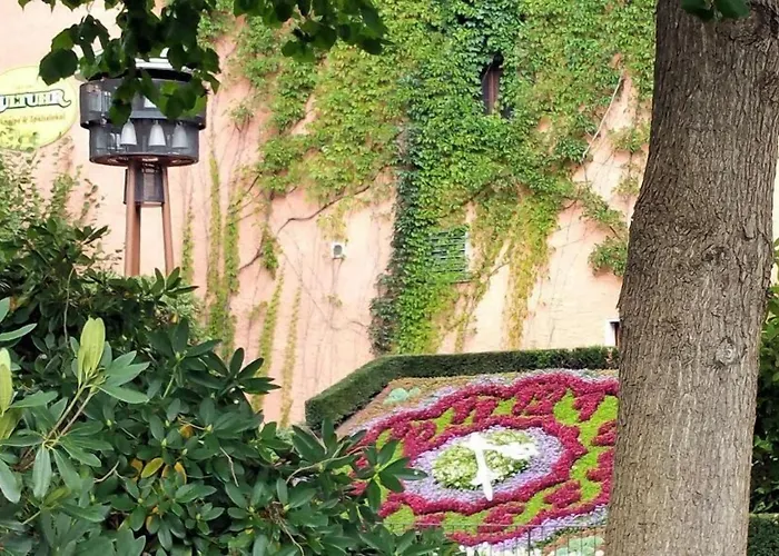 Hotel Schwarzer Bär Zittau