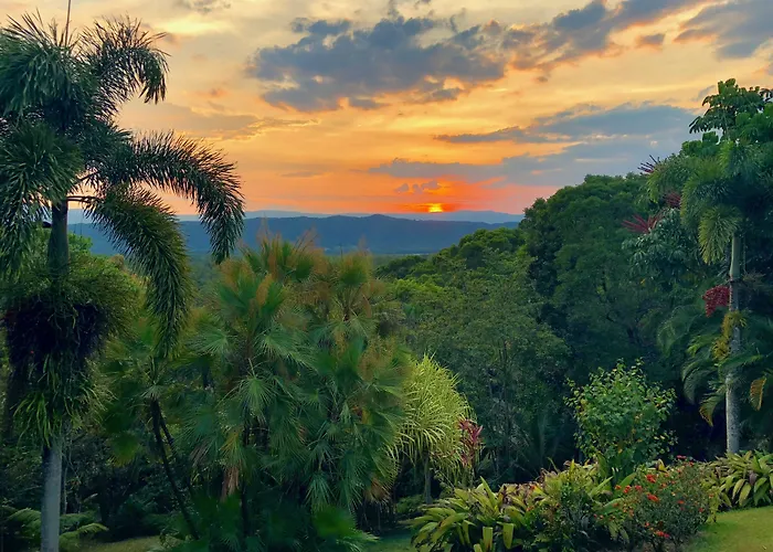Daintree Manor B&B