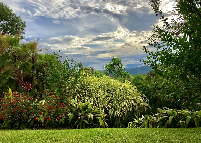 Daintree Manor B&B