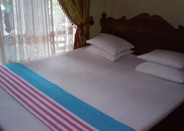 Viveka Inn Guest And Yala Safari Tissamaharama