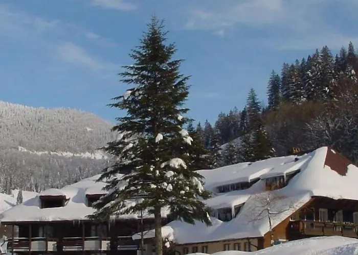 Akzent Hotel Lawine Todtnau