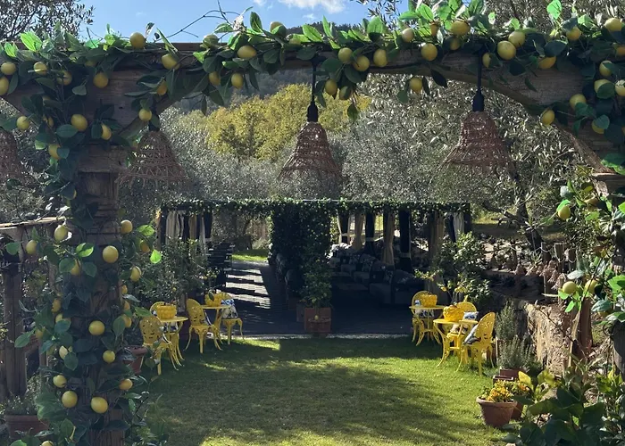 Terre Di Baccio Bed & Breakfast Greve in Chianti