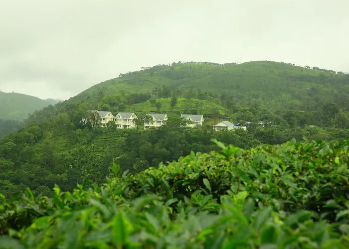 The Grasmere Vagamon