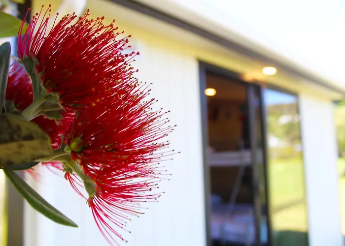 Waitangi Holiday Park Paihia
