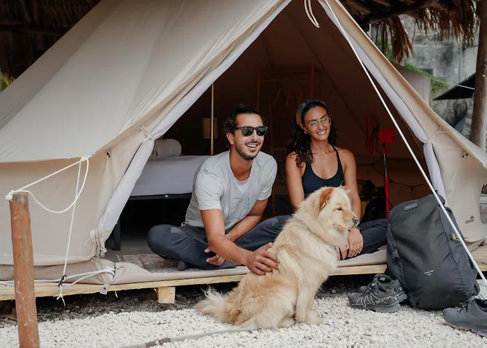 Mapache Hostel Isla Holbox