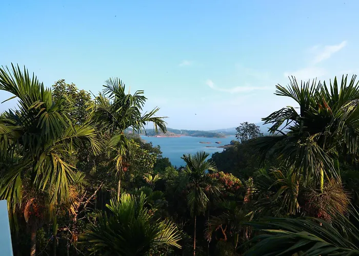 Bonita Banasura Hotel Vythiri