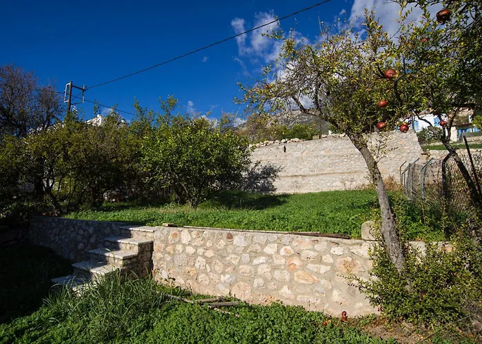 Elia Apartments Chrisso Delphi