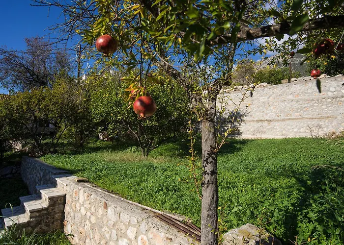 Elia Apartments Chrisso Delphi