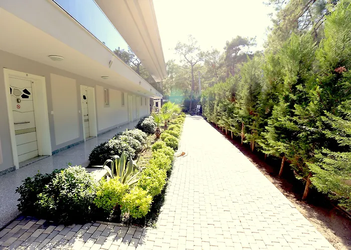 Truemar Hotels & Suites เกเมร์